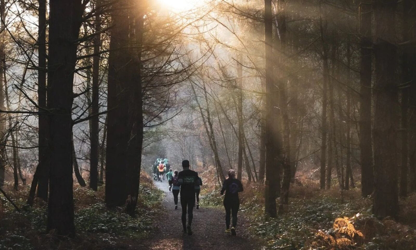 Welcome to the stunning Sherwood Pines for an incredible day of running in the forest - whether it's your first event, you're going for a PB or if you just want a day in the forest with friends!