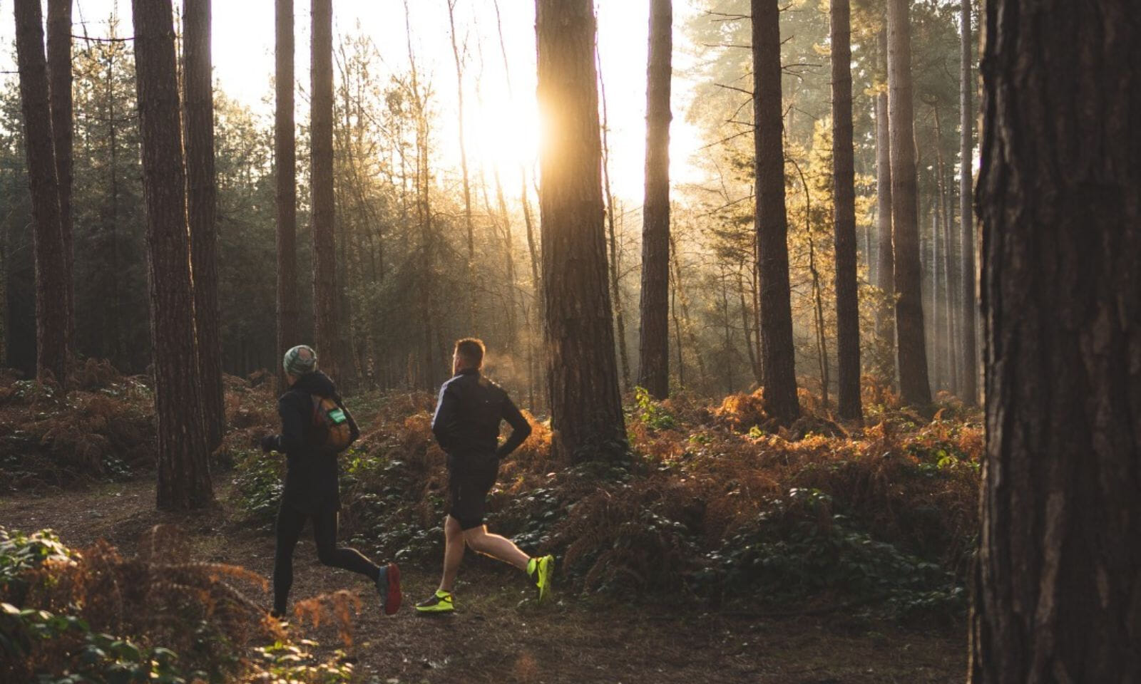 Welcome to the stunning Sherwood Pines for an incredible day of running in the forest - whether it's your first event, you're going for a PB or if you just want a day in the forest with friends!