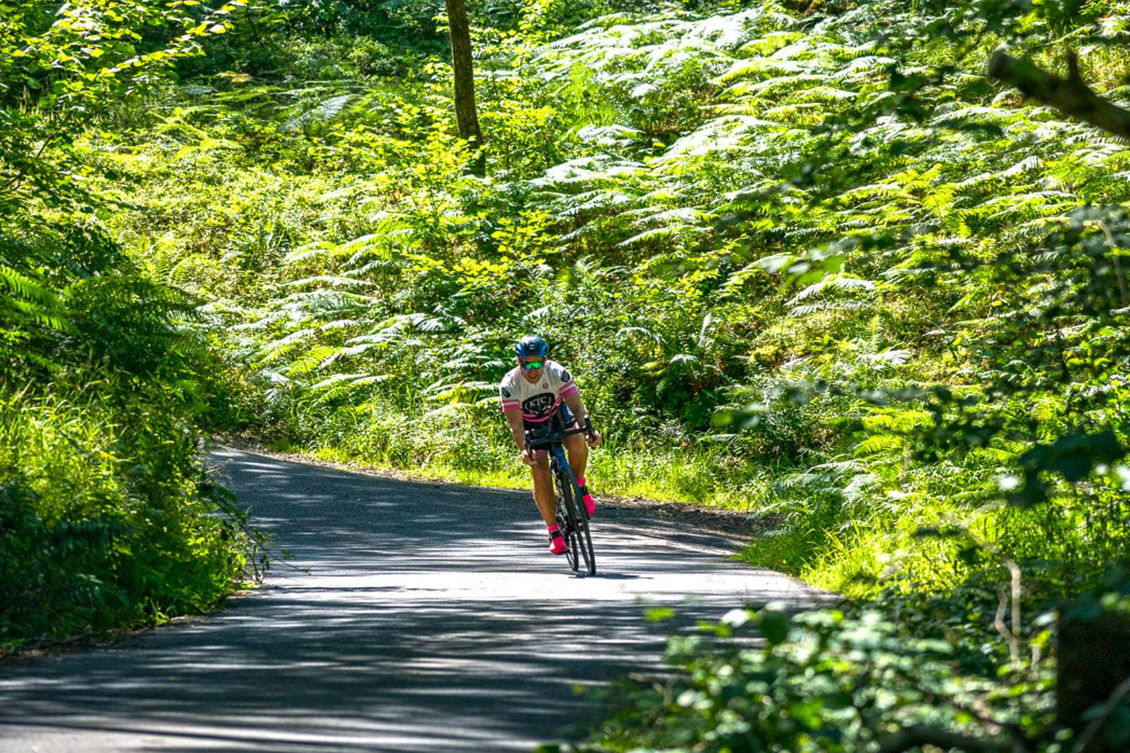 ROC England bike back by Outwest