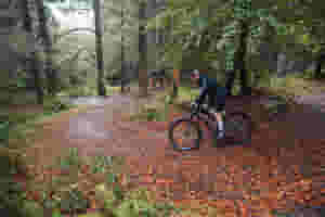 ROC SCOTLAND Bike in trees by OUTWEST uai 720x480