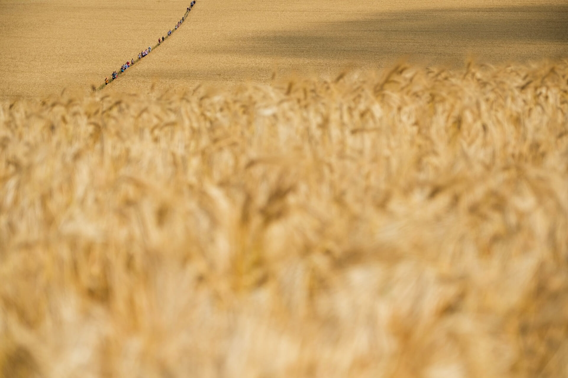 Race to the Stones 8 July 2023 TimeOutdoors