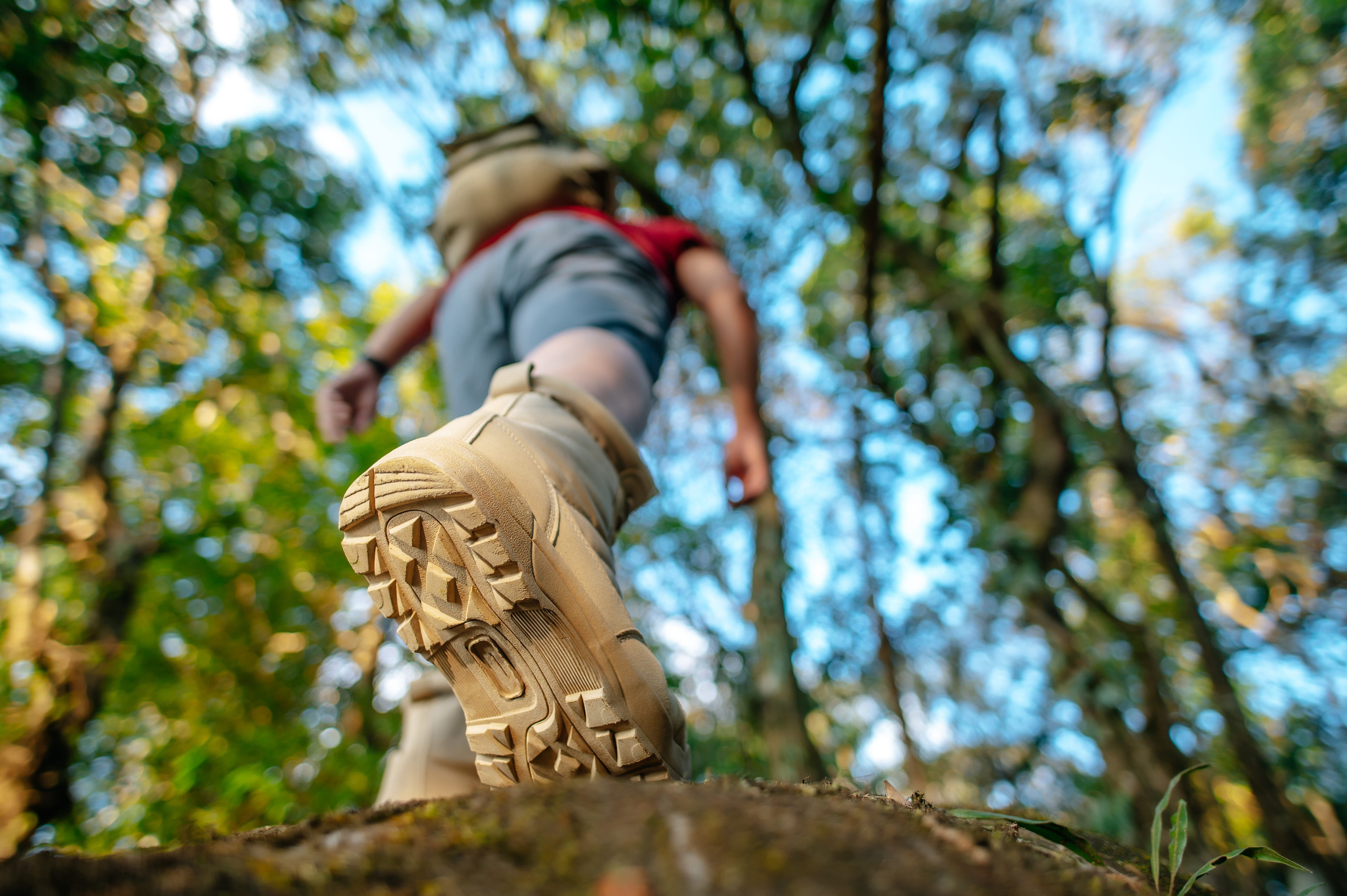 Hikes