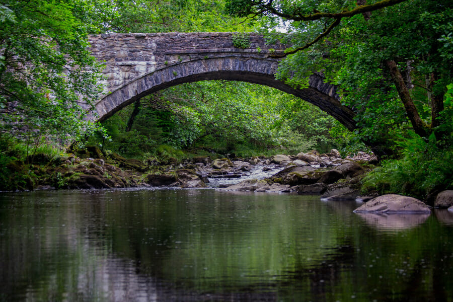 Coed y Brenin in Wales