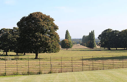 Revesby Running Festival | Sun 19 Jul 2026