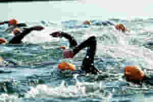 long+swim+banner