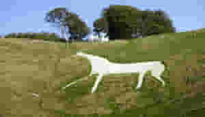 WhiteHorse2