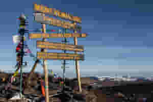 Mount Kilimanjaro - Congratulations - you are now at Uhuru Peak