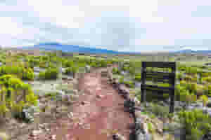 View from the Lemosho trail, the most scenic trail on Mount Kilimanjaro, Tanzania