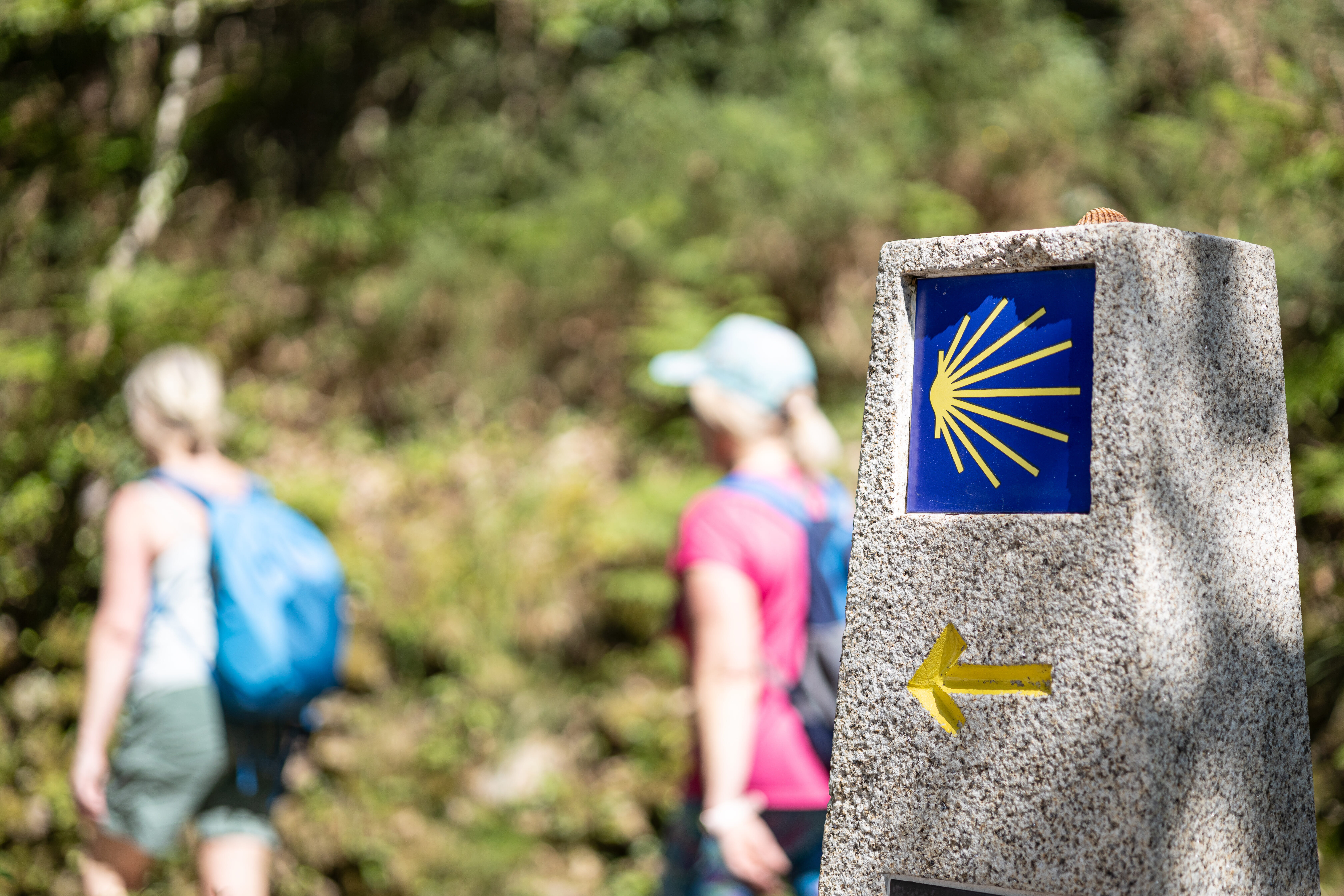 Camino 100 Challenge