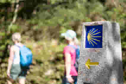 Camino 100 Challenge