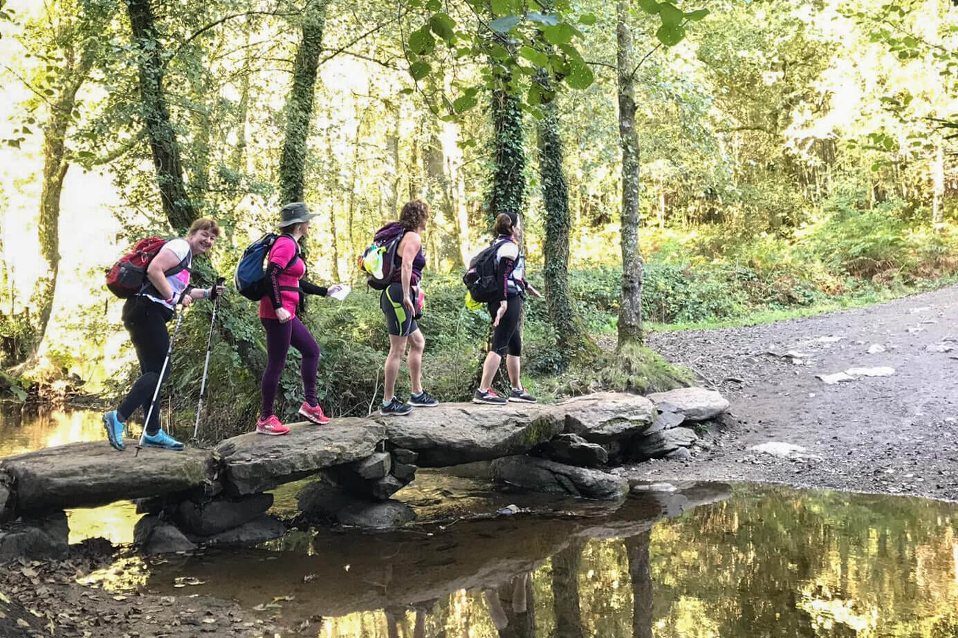 18 camino 100 2019