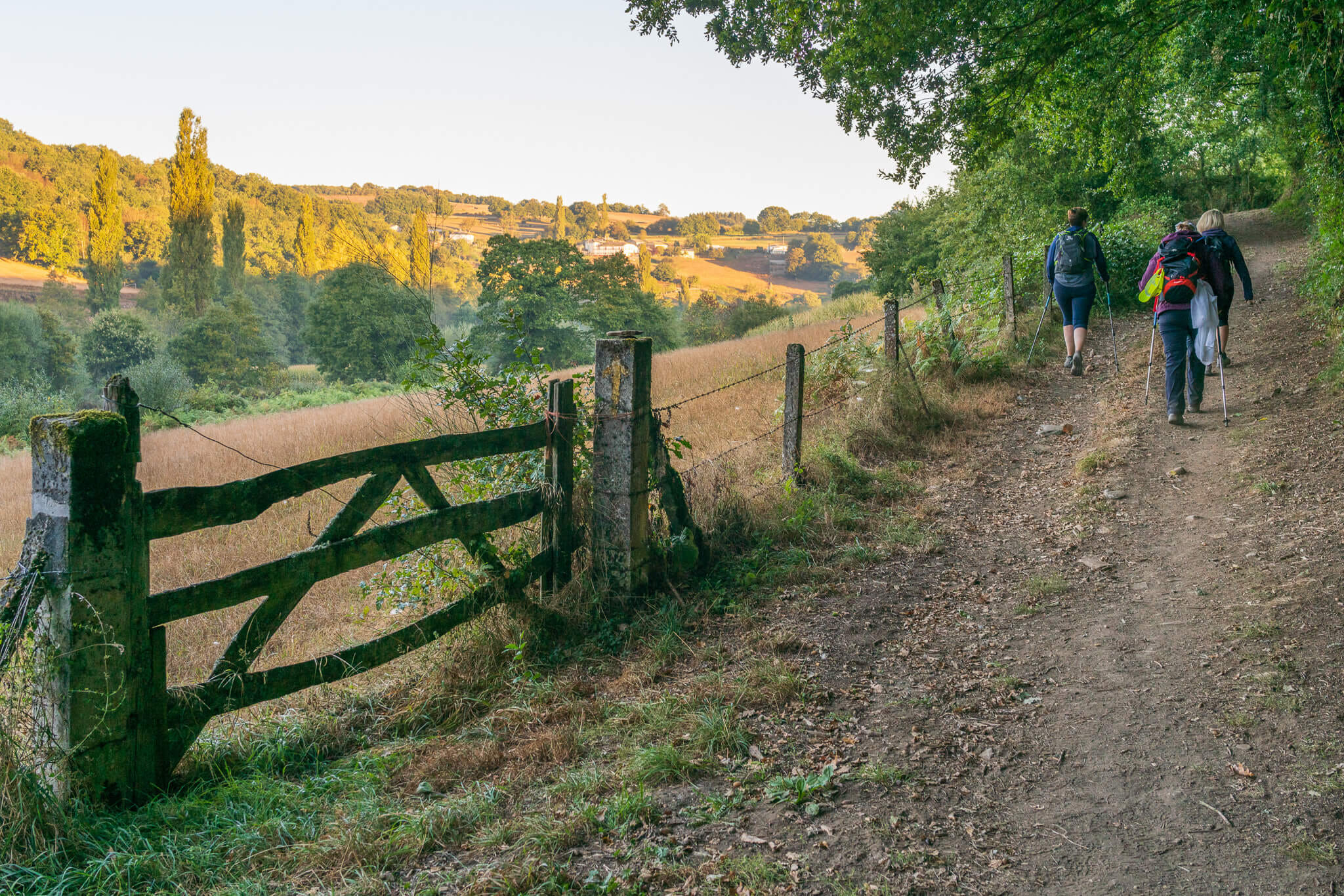 20 camino 100 2018