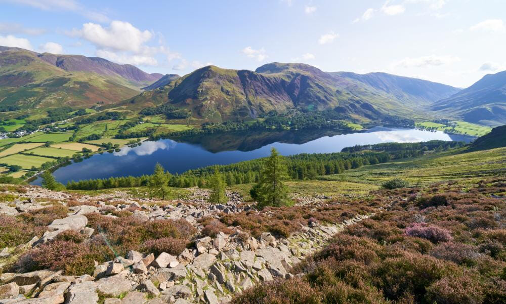 Duncan%20Andison%20%281%29