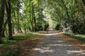 A gentle gravel bike adventure through the picturesque Cotswolds AONB. It's a relaxed all-day ride, with an easy pace and plenty of time for lunch and rest stops.