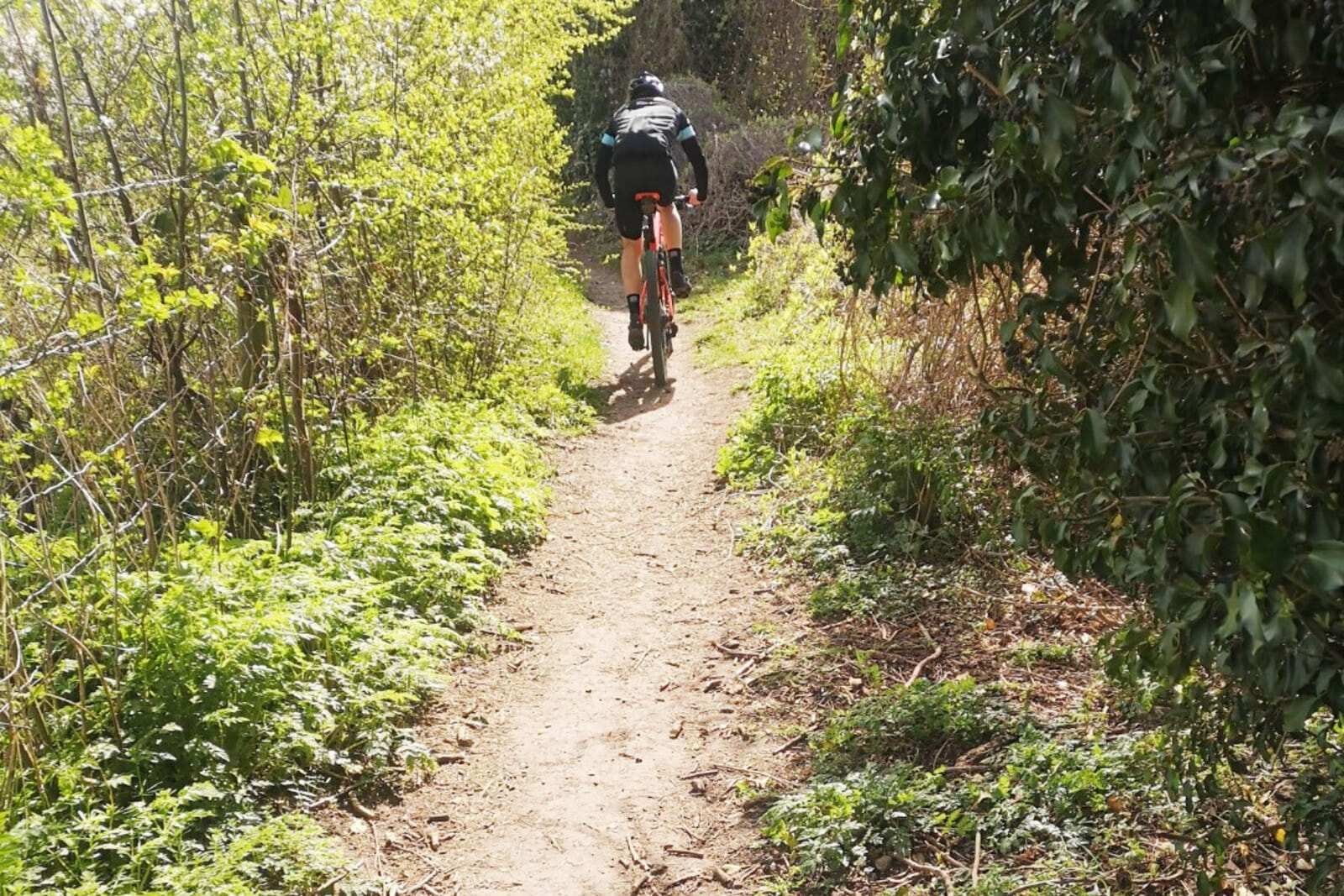 A fascinating ride through Roman history and Kent's coal mining past with stunning views across the channel before striking inland through the valleys and woods of East Kent.
