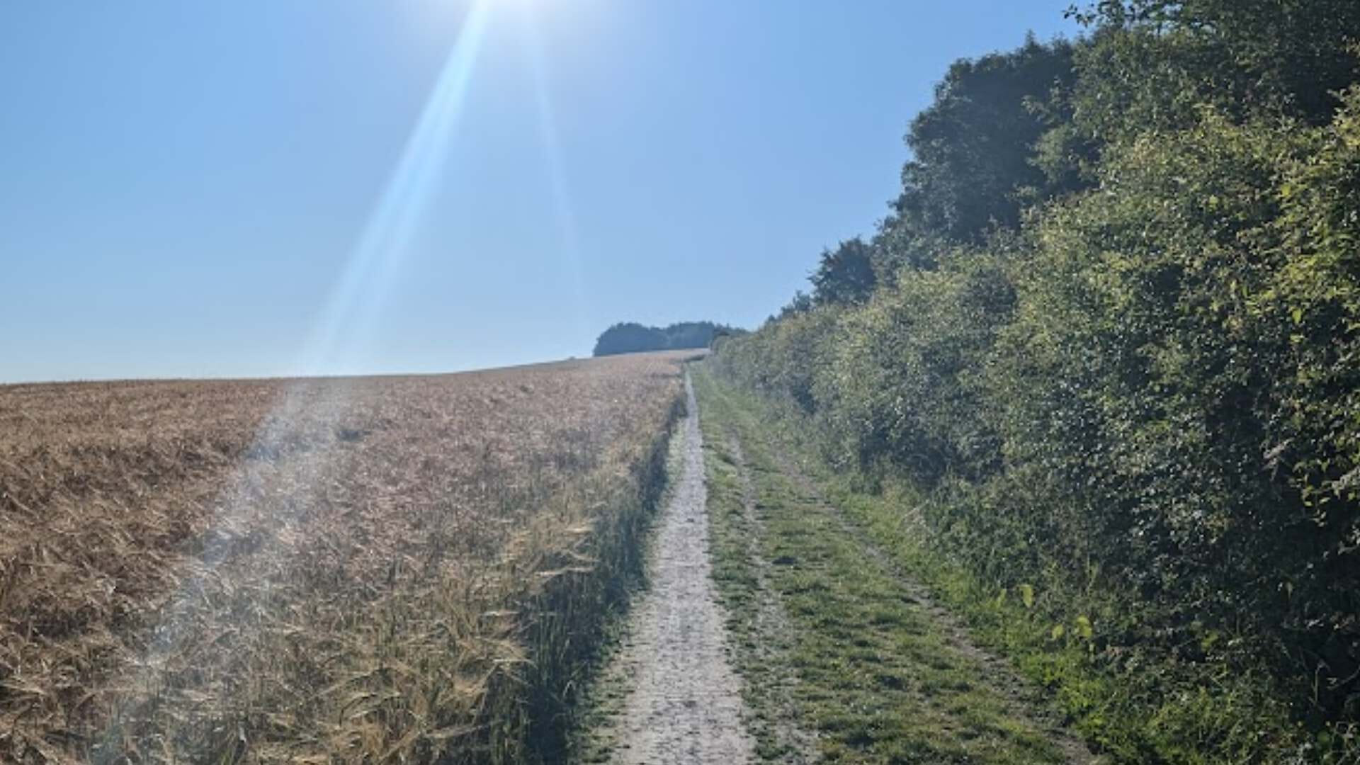 Ok, so not the actual solstice but still enjoy the long warm summer days on your gravel bike across the downs, through woods and orchards, to join the North Downs Way.