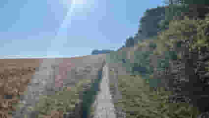 Activ Gravel Solstice Gravel