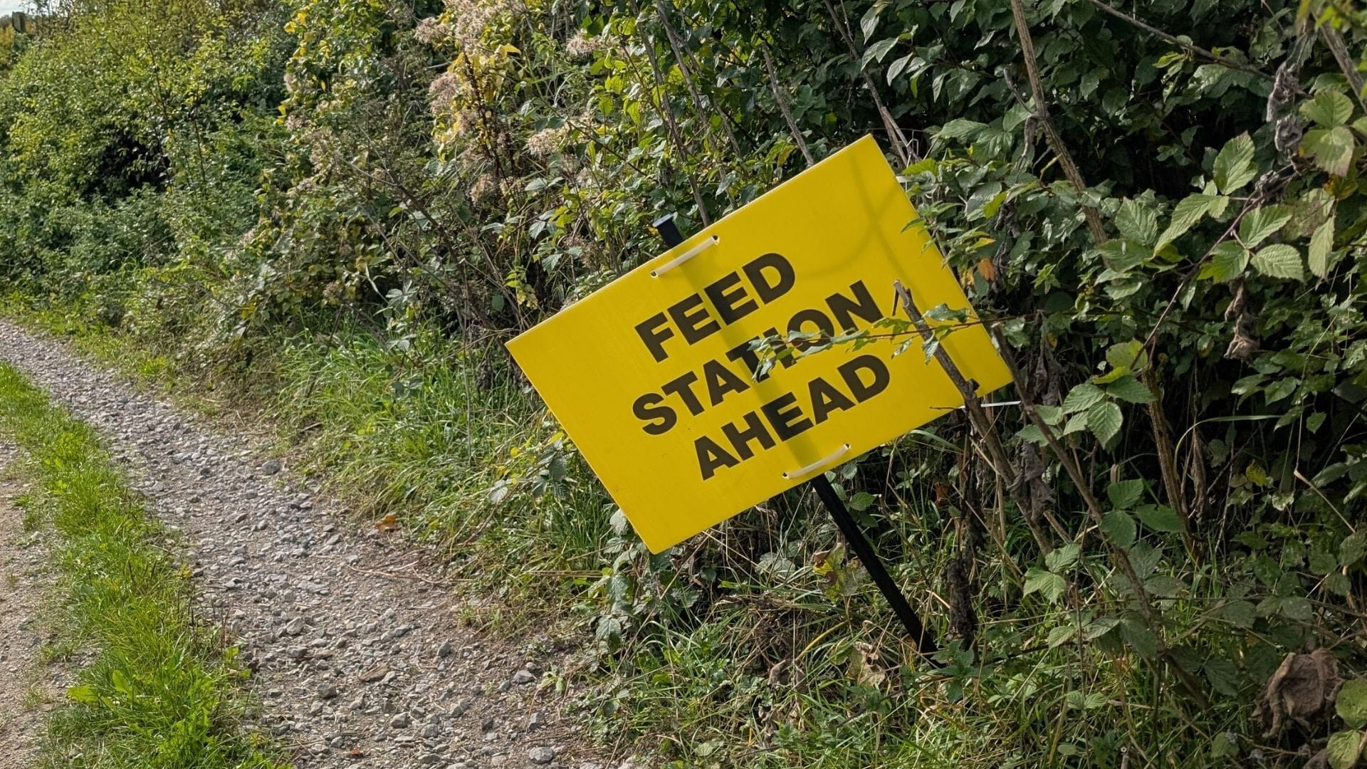 Southern Grit Gravel Ride Feed Station Surrey Gravel Trails London Gravel Cycling