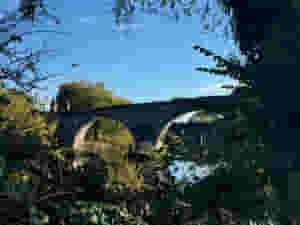 img 6447