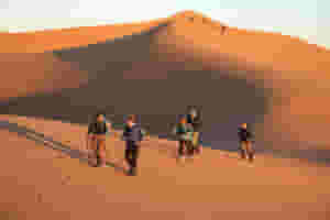 1901 Sahara Trek 0571