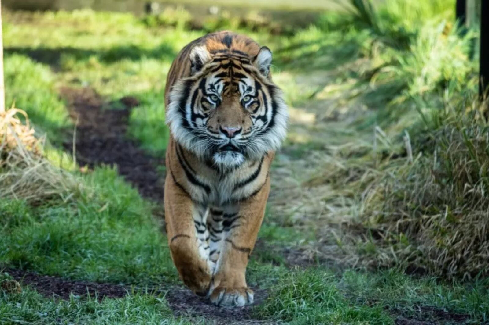 A science-driven conservation charity working to restore wildlife in the UK and around the world.