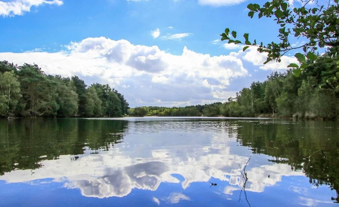 Run as far as you can during the 4-hour event through the lovely Bawsey Country Park on a multi-terrain loop. Run, rest, then head out for more.