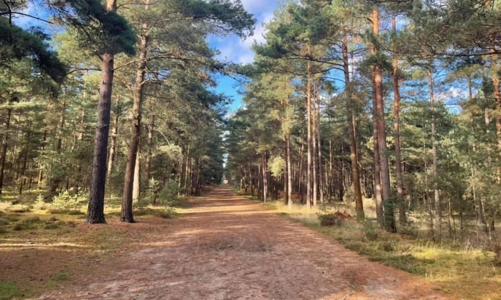 Run as far as you can during the 4 or 6-hour event through Brandon Country Park in the very heart of Thetford Forest on a multi-terrain loop. Run, rest, then head out for more.
