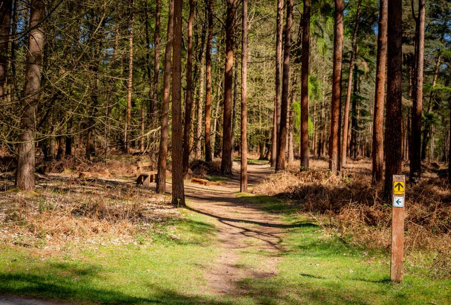 c4be810e 291b 4182 af36 f489551a4ba1